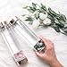 Crystal Elixir Glass Water Bottle â€“ Gemstone Wellness Dispenser with Rose Quartz Crystal Included to Infuse Water for Healing with Rose Gold lids a Great Gift idea for Women and Bridesmaids BPA Free