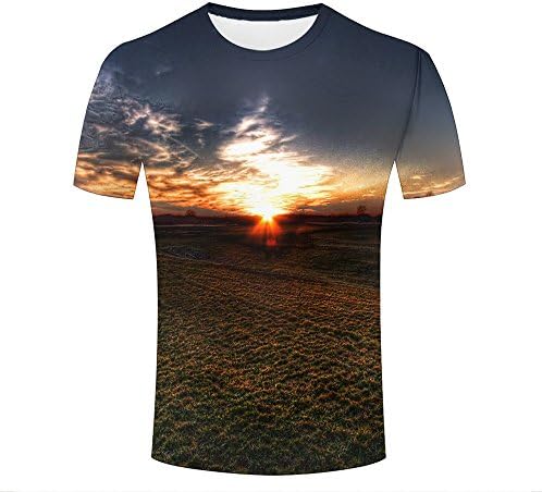 WEIYI BO Mens 3D Printed Tees Twilight Sunset Broad Meadow Graphic Short Sleeve T-Shirts