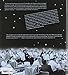 Team Moon: How 400,000 People Landed Apollo 11 on the Moon