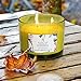 YCYH Citronella Scented Candles Outdoor Indoor Aromatherapy Stress Relief Pure Soy Wax 3-Wick Aromatherapy Candles 80 Hour Burn Long Lasting (14.5 Ounce)thumb 3