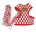 SMALLLEE_LUCKY_STORE CWYP00068-Red-S New Soft Mesh Nylon Vest Pet Cat Small Medium Dog Harness Dog Leash Set Leads ,Red , S