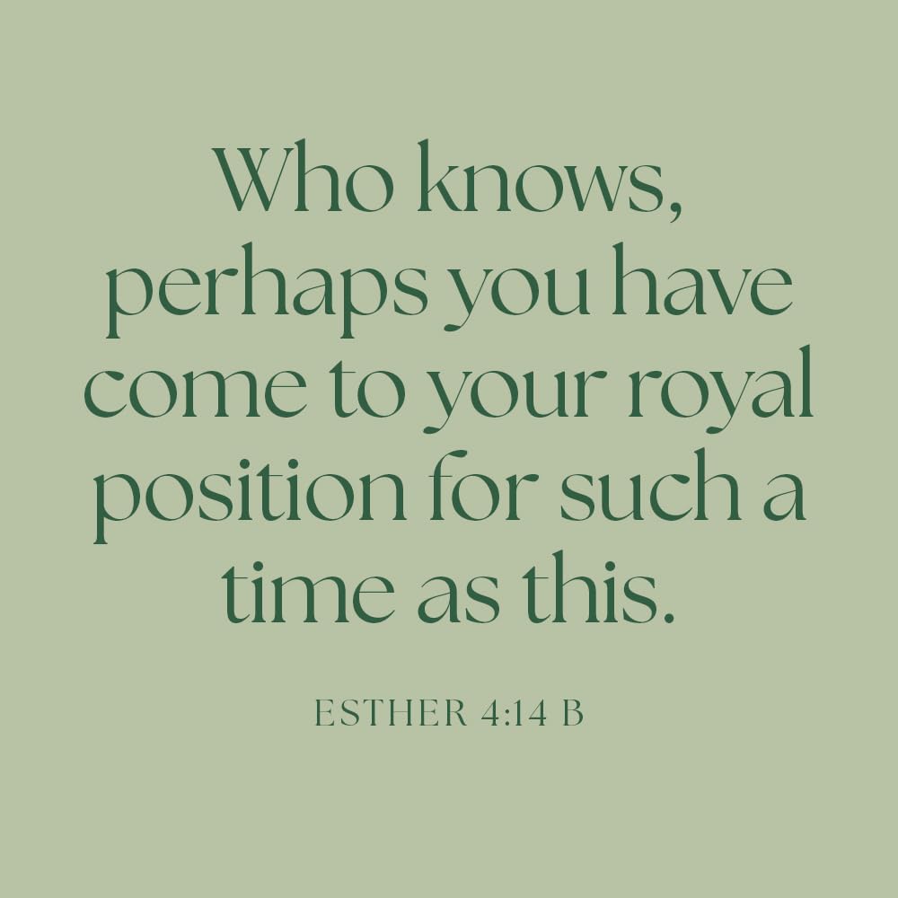 Esther: Daring Faith for Such a Time as This - Bible Study for Women with Video Access Esther: Daring Faith for Such a Time as This - Bible Study for Women with Video Access Paperback