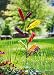Evergreen Garden Metal Bottle Tree - Holds 10 Bottles (sold separately) - 13.5"W x 12"D x 62"H primary