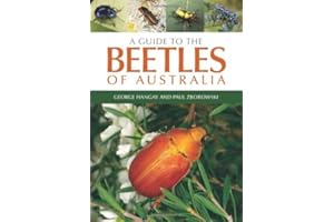 A Guide to the Beetles of Australia