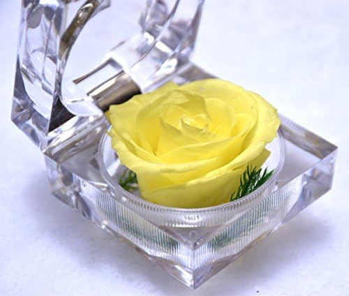 Butylee Handmade Gift Preserved Fresh Flower, Never Withered Rose with Crystal Ring Box-Yellow