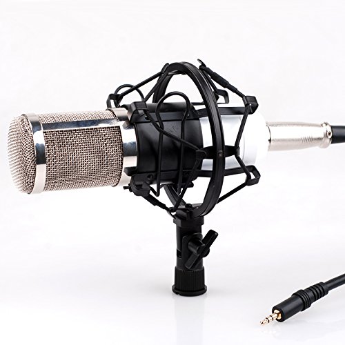 Купить CISNO Pro Studio Condenser Microphone Speech Recording Dynamic