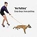 lynxking Dog Leash Slip Lead 5 6 8 FT Dog Training Leash Strong Heavy Duty Braided No Pull Training Lead Leashes for Small Medium Large Dogs