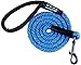 GOMA Industries Dog Leash - Best Heavy Duty and Reflective Lead - 100% Nylon Increased Safety leashes for Night Walking - for Small, Medium and Large Sized Breed - Made with Mountain Climbing Rope