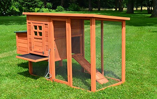 Zooprimus Poulailler En Bois Pour Jardin Extérieure 36 Poulesâ