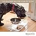 Petlo Raised Pet Feeder Bowls - Elevated Clear Acrylic Feeding Stand with Two Stainless Steel Food and Water Bowls for Small Dogs and Cats - By