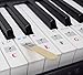 QMG Piano Stickers for 61-Key Keyboard, Bright Colorful Stickers, Perfect Visual Tool for Kids and Beginner Learning Piano, Transparent and Removable, Leaves No Residue, Made in USA