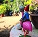 Funny Combat Garden Gnome Riding a Flamingo – Cute Home Decor Statue, for Lawn, Yard, or Office - Indoor Outdoor 11 Inch Tall, by Dodo Creations