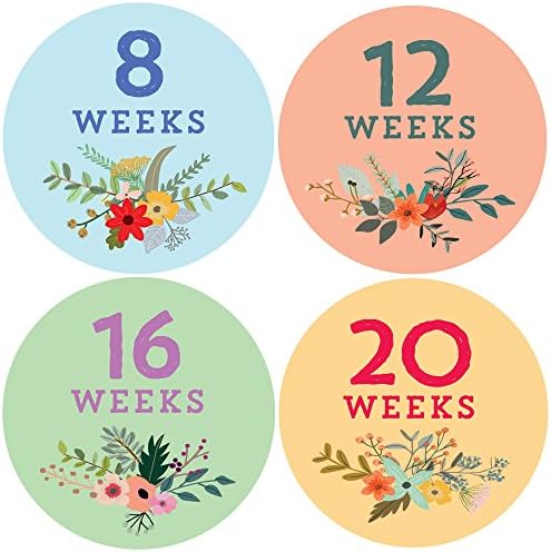Design Corral Pregnancy Belly Stickers