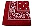 New Double Sided Print Paisley Bandana Scarf, Head Wrap (Cardinal, 22