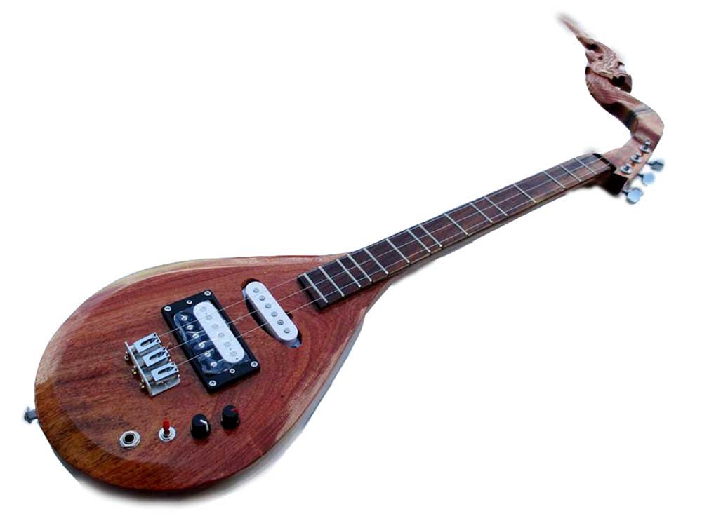 Amazoncom Isarn Electric Phin 3 Strings Thai Lao Guitar - 