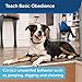 PetSafe 300 Yard Remote Trainer, Rechargeable, Waterproof, Tone / Vibration / 15 Levels of Static Stimulation for dogs over 8 lb.thumb 1