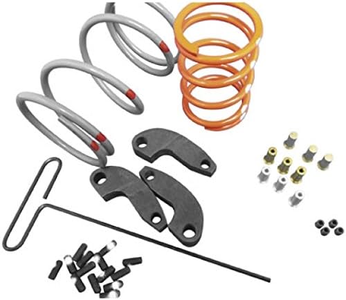 Dalton Clutches Clutch Kit DUV-P8RZ-4