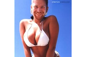 Windowlicker
