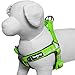 Blueberry Pet Soft & Comfy 3M Reflective Step-in Pastel Color Padded Dog Harness, Chest Girth 23.5