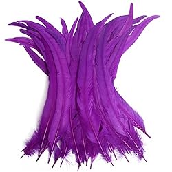 THARAHT 20PCS Rooster Coque Tail Feathers Bulk