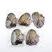 Hot Sale Gift! AMA(TM) 10Pcs 7-8mm Oysters with Large Oval Pearl inside Birthday Gifts