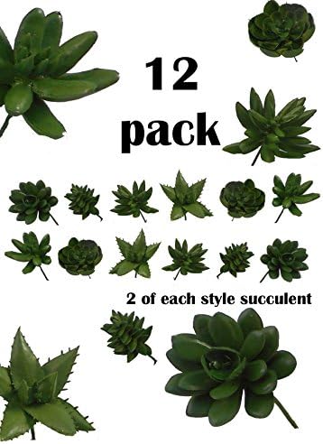 Down Home Designs Realistic Artificial Lifelike Faux Succulent Cactus Bulk Variety Pack of 12 for Garden, Home, Office. Wedding and Party Decor