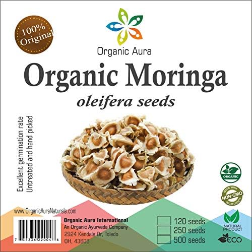Immunity Booster: Moringa Seeds 500 Qty in a resealable Pouch. PKM1, Non GMO, Non Hybrid, from Plants Grown Pesticides Free. Hand Picked top Quality Seeds.