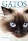 Livro Gatos: Como escolher uma raça e cuidar (Coleção Pet Criador)