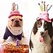 Bolbove Bro'Bear Dog Birthday Hat with Cake & Candles Design Party Costume Accessory Headwear Pink (One Size Fits Most)