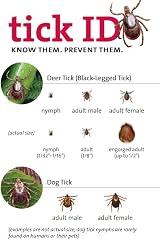 annex Tick Remover Tool Set of 3 with Case for Dogs Cats Humans view 7