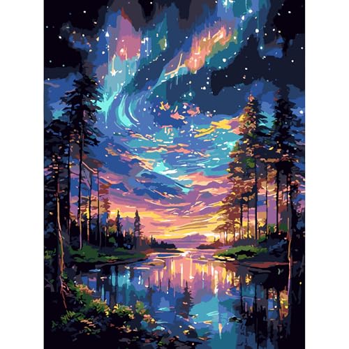 Paint by Number-starlit sky-1