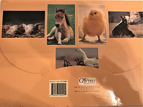 MOTHER'S DAY-GREETING CARD ORGANIZER,BLANKCARDS FOR EVERY OCCASION.ASSORTMENT OF BLANK CARDS WITH ENVELOPE,CARD HOLDER,MON,DAD,MEN,WOMEN,HALLMARK,AMERICAN GREETINGS,BOXED CARDS,ANNIVERSARY,LOVE,FUNNY