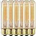 Licperron E26/E27Base T10 Tubular Edison Bulb 60W Vintage Style Warm White 2300K Antique Dimmable Light Bulb,Pack of 6