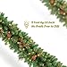 OasisCraft 9FT Christmas Garland Decorations with 20 Pine Cones, Branches and 50 Battery Operated Warm Lights and Timer Product Name