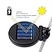 Doingart Garden Solar Lights Outdoor - 3 Pack Solar Stake Light Multi-Color Changing LED Garden Lights, Decorative Lights, Solar Powered Stake Light (Hummingbird Solar Garden Light)