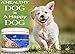 Elite Pet Nutrition Probiotic Supplement for Dogs Elite Dog Probiotics Powder Veterinarian Recommended - Eliminates Diarrhea, Gas, All Natural Non-GMO & Gluten Free - Free Bonus Made in The USA 8oz