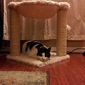 Amazon.com : Natures Miracle Laundry Boost Stain and Odor ...