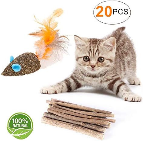 Cat Catnip Sticks Natural Matatabi Silvervine Sticks - Cleaning Teeth Molar Tools Kitten Cat Chew Toy Natural Catnip Mouse Cat Toy