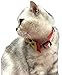 2 Pack Christmas Santa Snowman Holiday Xmas Collar for Cats Kitten with Bowtie, Adjustable 8