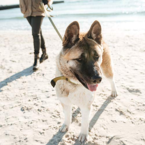 maxxipaws maxxiflex+ Heup- en Gewrichtssupplement voor Honden - 120 Kauwtabletten – Supplementen voor Honden met… - Afbeelding 8