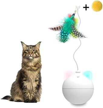 robot cat toy uk