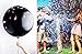 2PCS Giant 36'' Black Round Gender Reveal Balloon Pop with Pink and Blue Confetti for a Baby Shower