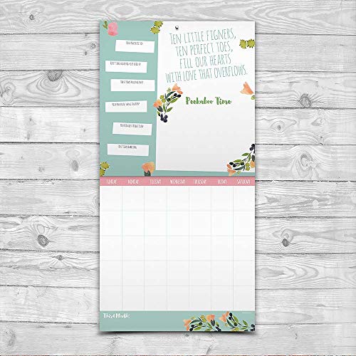 Tf Publishing Baby S First Year Floral Open Dated Keepsake Wall Calendar Diy Personalize Customize Floral Design Start With Any Month Record Milestones Stickers Included 12 X 12 Pricepulse