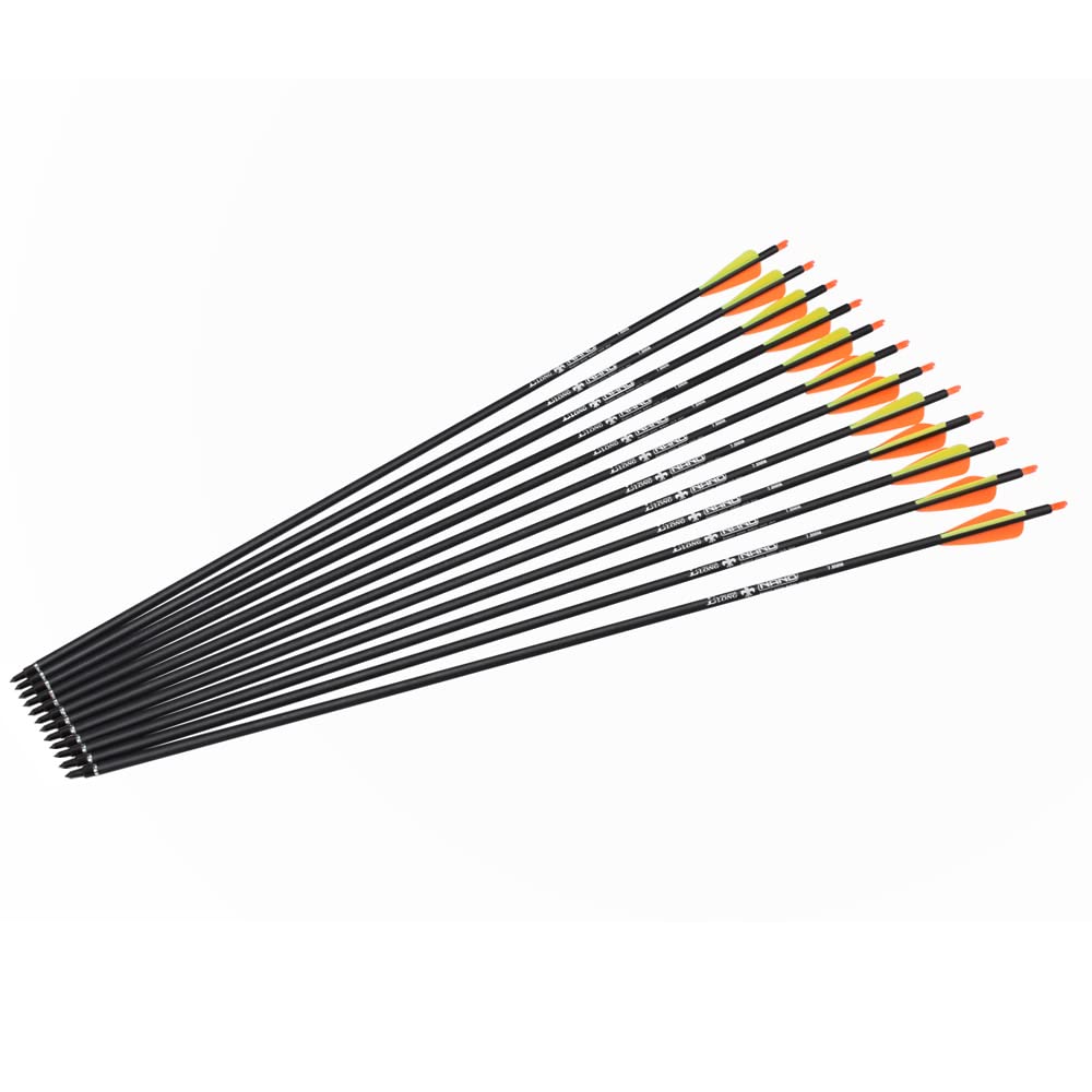 ELONG OUTDOOR 28 30 31Inch Carbon Arrow Archery Hunting Targeting Arrows with 100 Grain Removable Tips for Archery Compound & Recurve Bow & Traditional Bow Target Practice Shooting