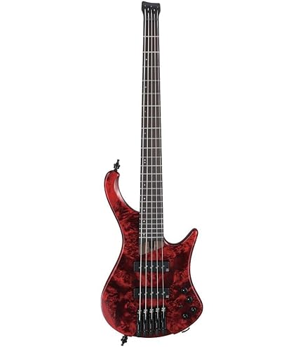 Amazon.com: Ibanez EHB Ergonomic Headless 5-string Bass