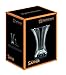 Nachtmann Saphir Collection, Crystal Vase, 8.3-Inch, Decorative Small Glass Vase for Flowers, Home Décor, and Centerpieces, Makes a Great Wedding, or Housewarming Gift, Clear