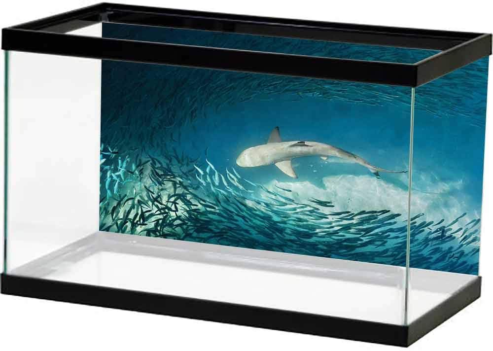 SLLART Easy to Apply and Remove Fish Tank Sea Animals,Shark and Small Fish Ocean Wilderness Waterscape Wildlife Nature Theme Picture,Teal Beige Bright Color