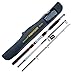 Berrypro 3-Piece Spinning Rod Heavy Spinning Fishing Rod Portable Fishing Rod Graphite Spin Rod (Silver with red 7')