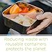 U-Konserve - Divided To-Go, Stainless Steel with Removable Dividers, Multiple Containers in One, Ideal for Lunches, Picnics and Travel, Dishwasher Safe (Medium, Ocean)
