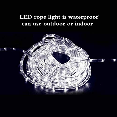 PUHONG 110V 2-Wire Waterproof LED Rope Light Kit for Background,Outdoor,Christmas Lighting,Trees,Bridges and Decorations Eaves with UL Certified (100FT/30M) (White)